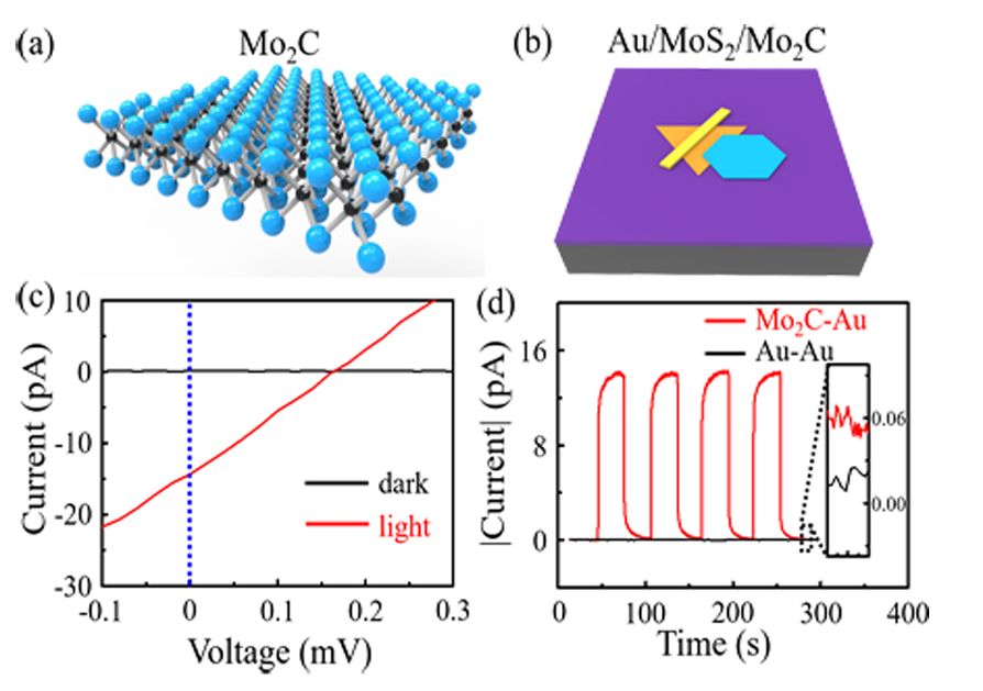 NML研究文章|高稳定性Mo2C\/MoS2\/Au