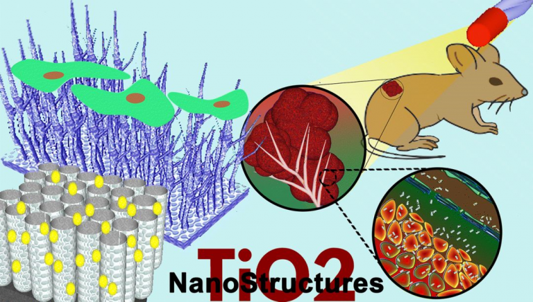 德国FAU大学综述：洞悉纳米TiO2在纳米医学中的诊疗特性 - Nano-Micro Letters